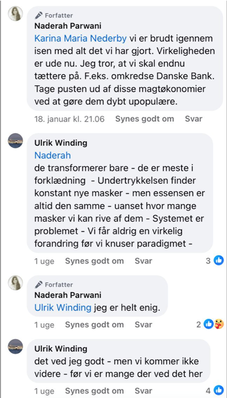 Opslag af Naderah Parwani om den bagvedliggende ideologi hos netværket